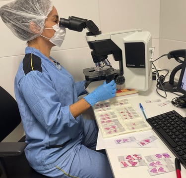 Leitura de  lâminas, Cirurgia Micrográfica de Mohs em Salvador, Bahia