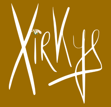 Logo Xirkys - Créations artistiques et Portraits Hybrides