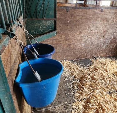 Windy Mane Ranch HH stall 3