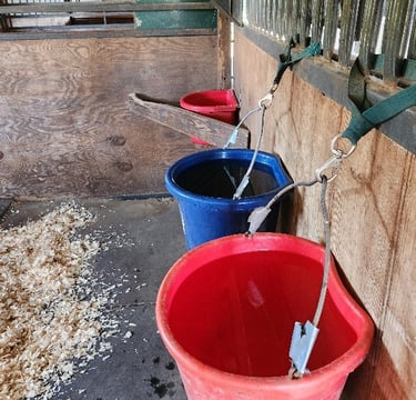Windy Mane Ranch HH stall 2