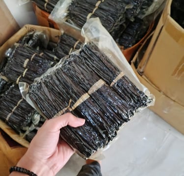 vanilla beans vacum packed