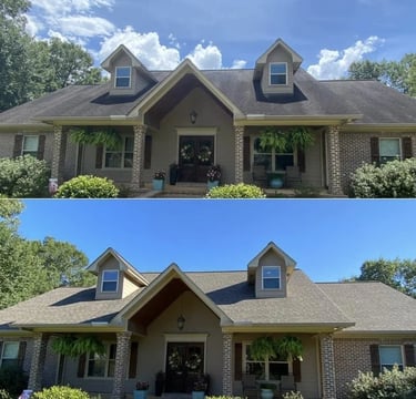 Roof soft wash before and after Land O' Lakes, FL
