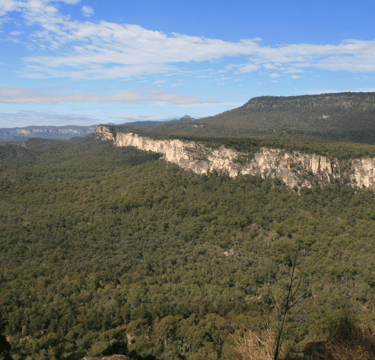 Carnarvon Gorge from Boolimba Bluff,Central Queensland 