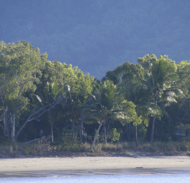 Tropical beach near Cairns