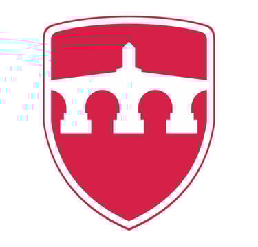 International Balkan University Students