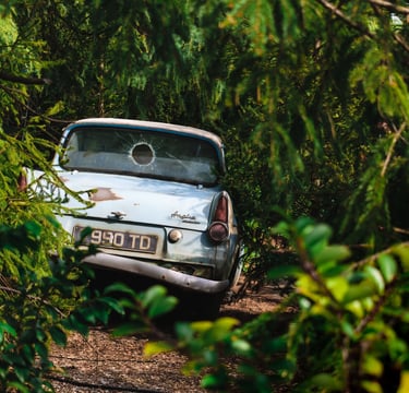 Coche Ford Anglia clásico abandonado con la luneta trasera rota, escondido en un denso bosque verde