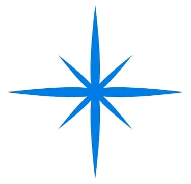 StellarTours Paris Walking Tours