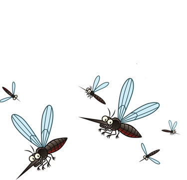 Villeneuve-Loubet alerte aux moustiques