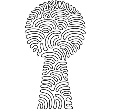 adult coaching purpose exploration