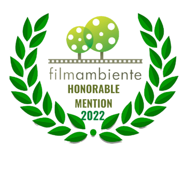 a film reel reel reel reel reel reel reel reel reel reel reel reel reel reel