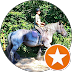 recenze