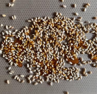Praliné pignon de pin