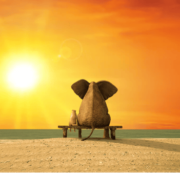 Summer relatietherapie