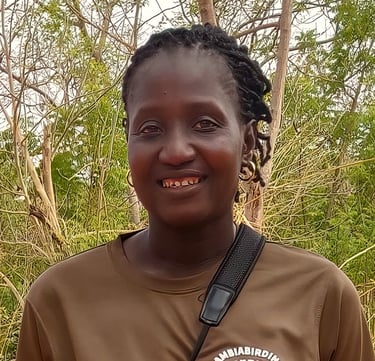 Birdwatching in Gambia met deskundige gids