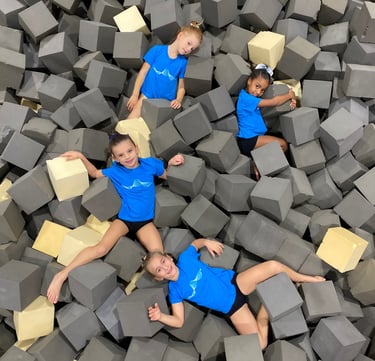 Artistica Jesolo Young 1