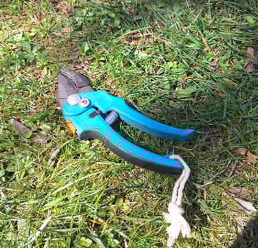 https://gardenerspath.com/how-to/animals-and-wildlife/deer-fence-diy/