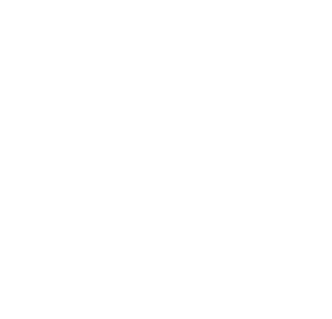 Vidalai