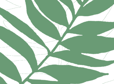 Feuille verte représentant l’eco-responsabilité