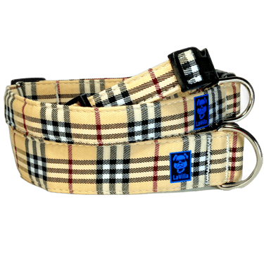An Ivory plaid Dog collar in the London style