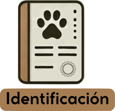 Identificación mediante implantación de microchip a domicilio para perros y gatos en Alicante.