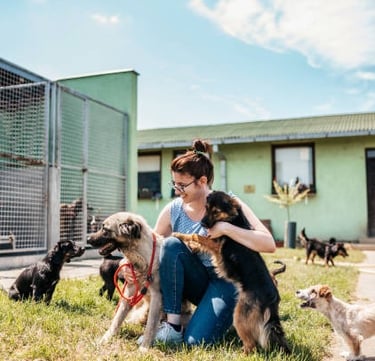 Choosing the right pet