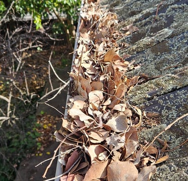 Gutter clearing, Basic roof maintenance, Landscaping, Lawn mowing, edging & all Gardening services