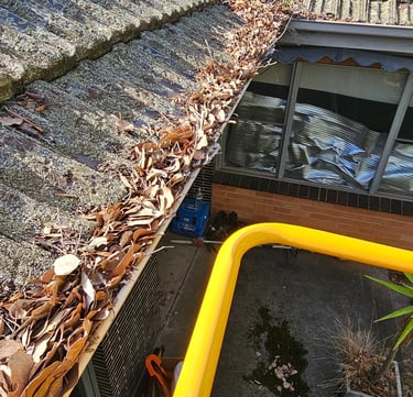 Gutter Clearing & general roof & home maintenance