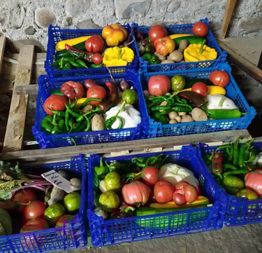 Paniers de légumes bio