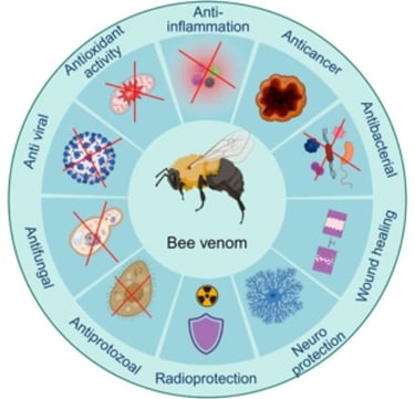 Fasting + Honey + Apitherapy = Natural Defense Against Bone Infections photo