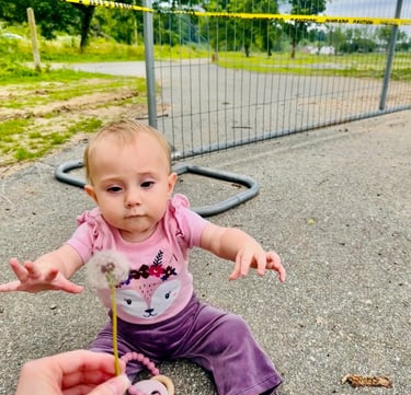 A baby girl sitting on the ground at Carrier Park after Hurricane Helene destruction and reaching out for a dandelion.