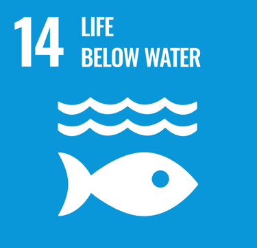 SDG 14 Life Below Water