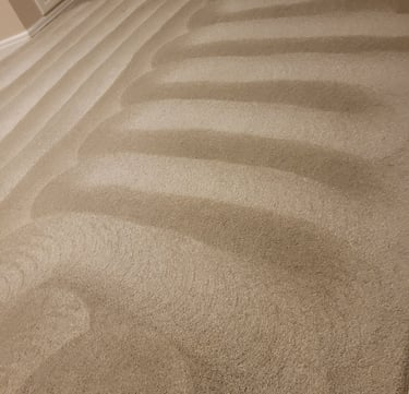 Beautiful Clean Carpet Results With King Organic Clean