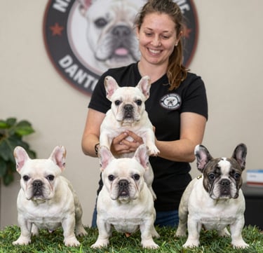 a man riding a skateboard down the side of a ramp