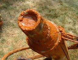 Iron Bacteria Well Water