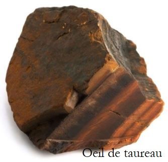 Oeil de taureau