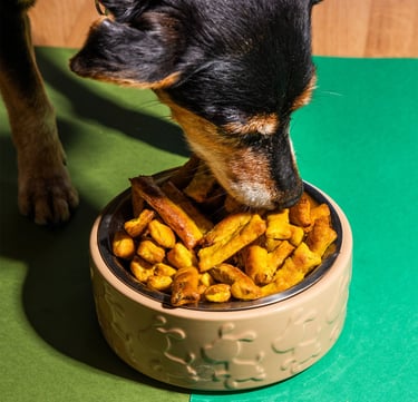 Dog eating nutritious plant-based dog food