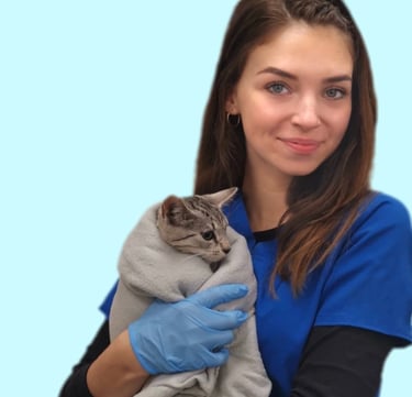 Nuotolinė konsultacija