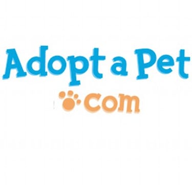 ADOPT A KITTEN 