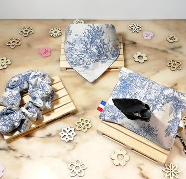 Accessoires pour chien en toile de Jouy