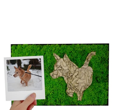 a dog is shown in a photo with a polaroidic polaroid polaroid