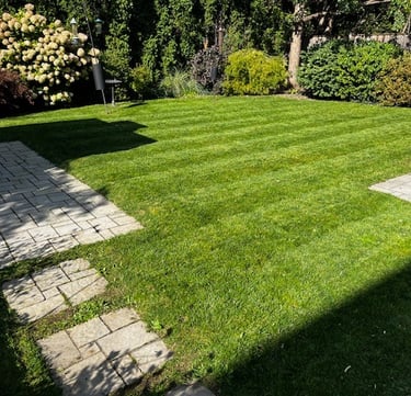 freshly mowed grass, perfect lines in grass