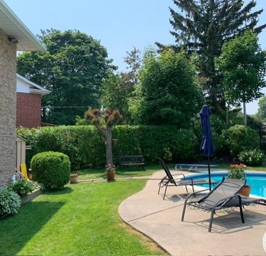 hedge and shrubs trimmed and perfectly shaped