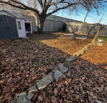 fall leaf clean up, spring clean up