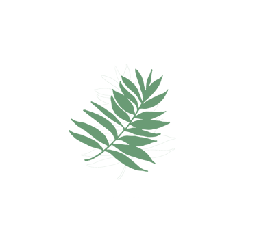 Feuille verte représentant l’eco-responsabilité