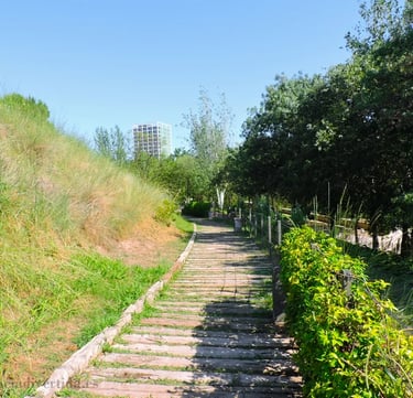Senda de madera del Parque de Cabecera