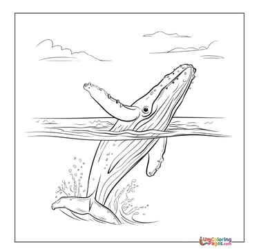 cute whale coloring sheet printable