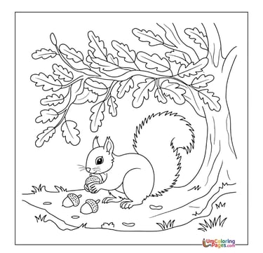 Cute squirrel coloring sheet woodland pet activity
