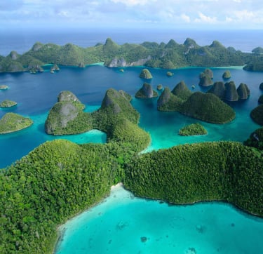 Ikut Liburan bersama Leisure jelajahi Raja Ampat