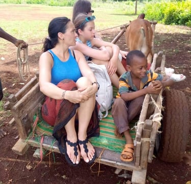 Tourists riding a traditional cow cart pulled by a zebu, experiencing authentic Zanzibar village life and culture
