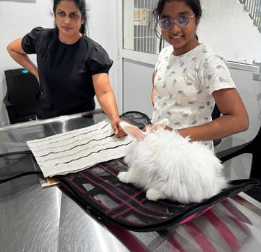 [et pulse animal hospital veterinary care for rabbits and small animals in Battaramulla